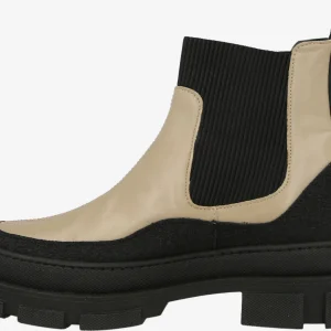 ANGULUS Chelsea Boots 7