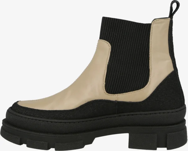 ANGULUS Chelsea Boots 3